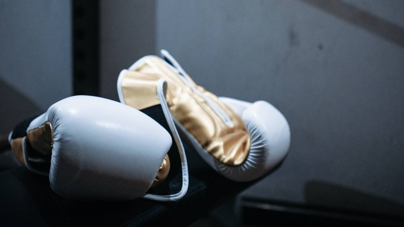 Combative Sports Insurance-Boxing Gloves